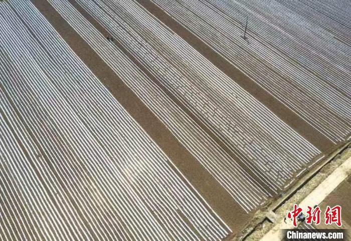 左权县泊里村铺满地膜的有机旱作农田在阳光照射下，构成一幅锦绣太行的诗画田园图画